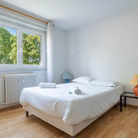 Apartment Le Grand Elsau - Wifi - Parking Gratuit - 15 Min Centre